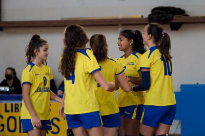 Libertas Gonars (pallavolo)