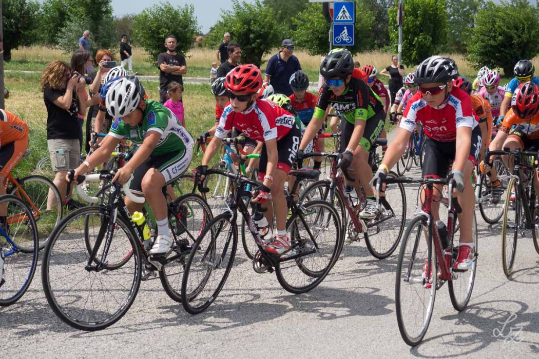 rid 20210718 115434 592