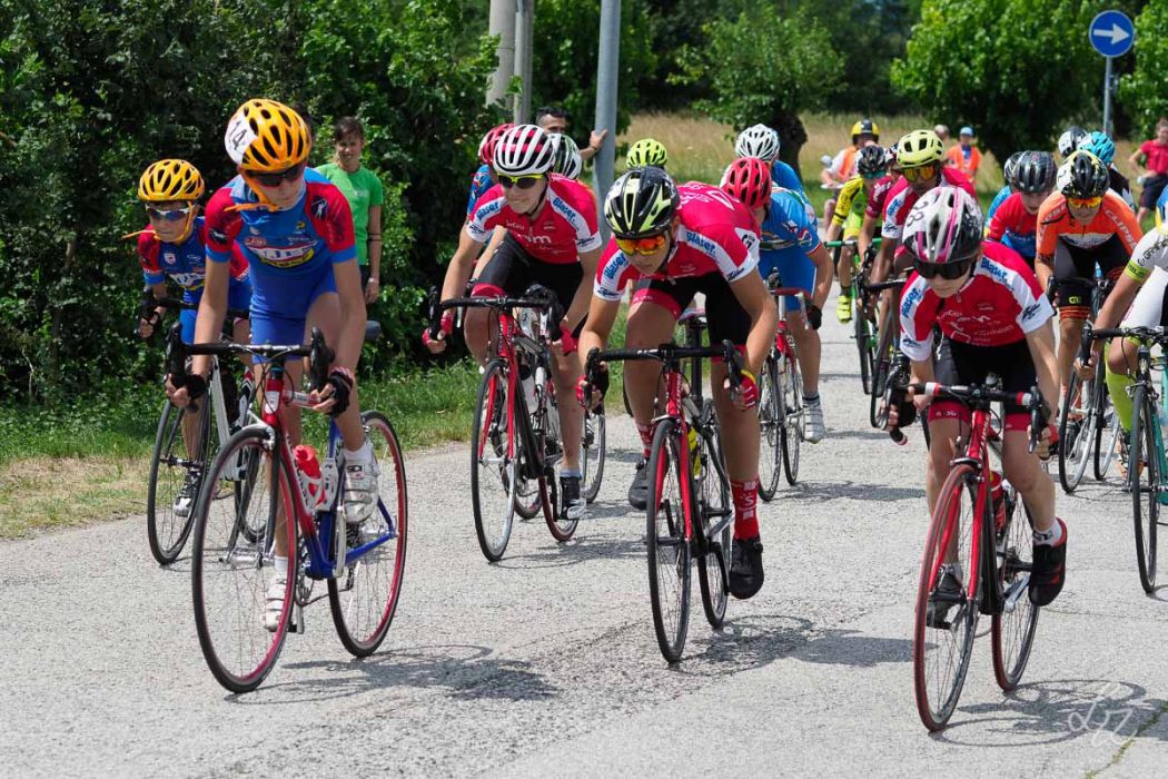 rid 20210718 122602 1309