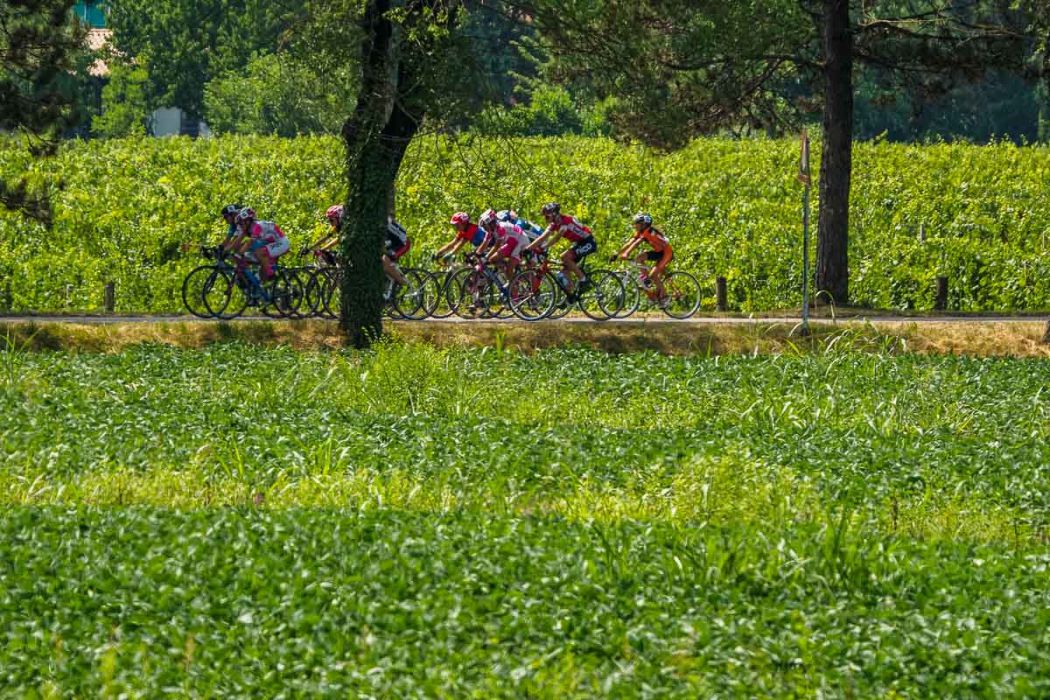 20210725 122248 691 rid