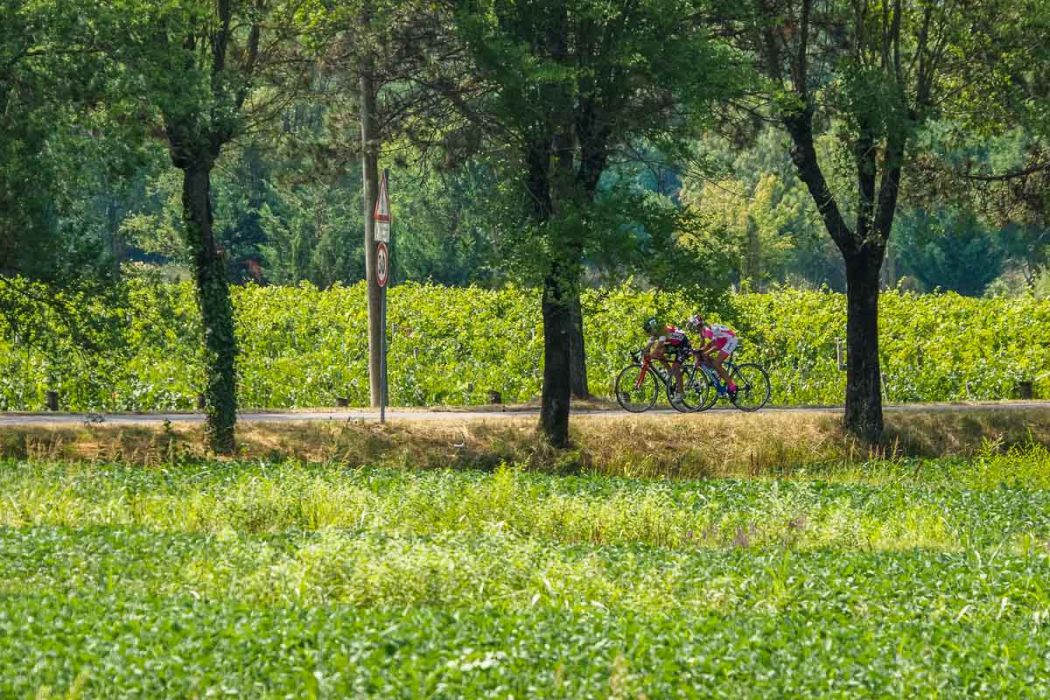 20210725 124155 729 rid