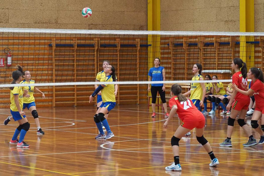 20220602 145522 P6023507