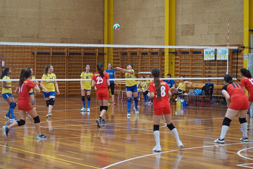 20220602 150533 P6023535