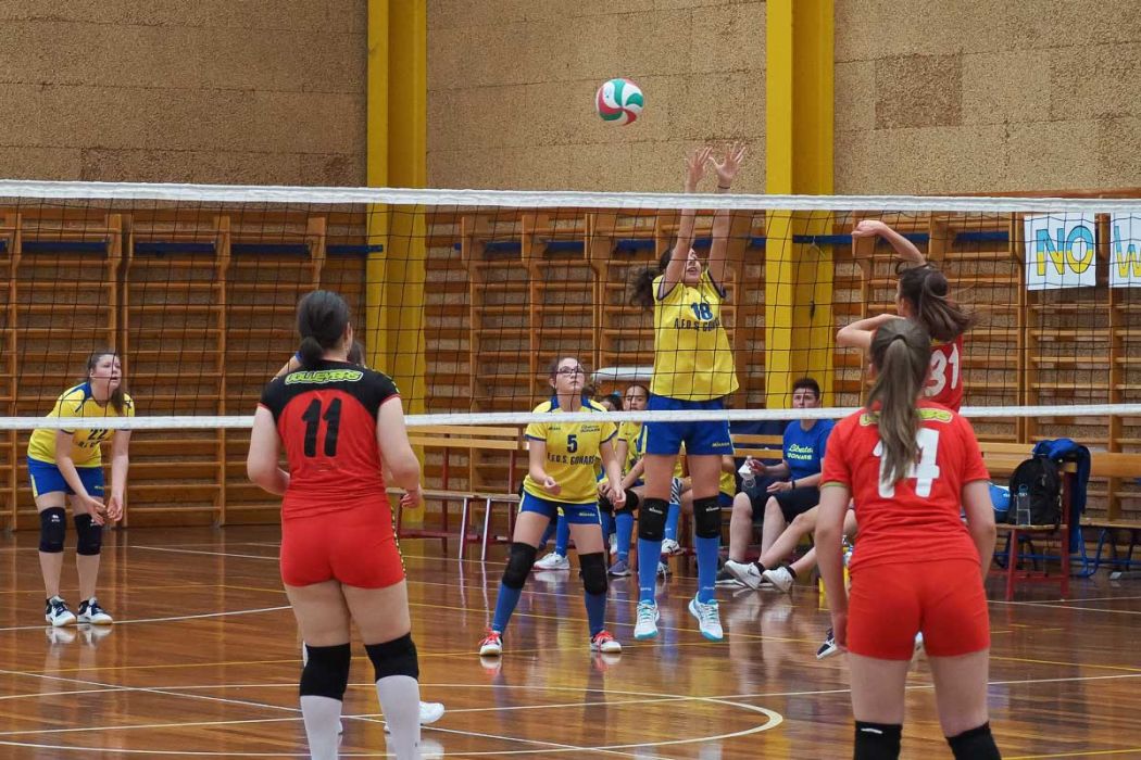 20220602 151433 P6023576