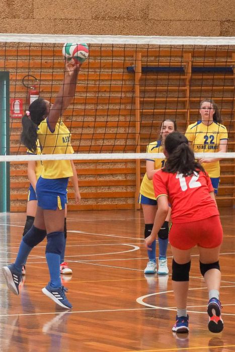 20220602 151827 P6023593