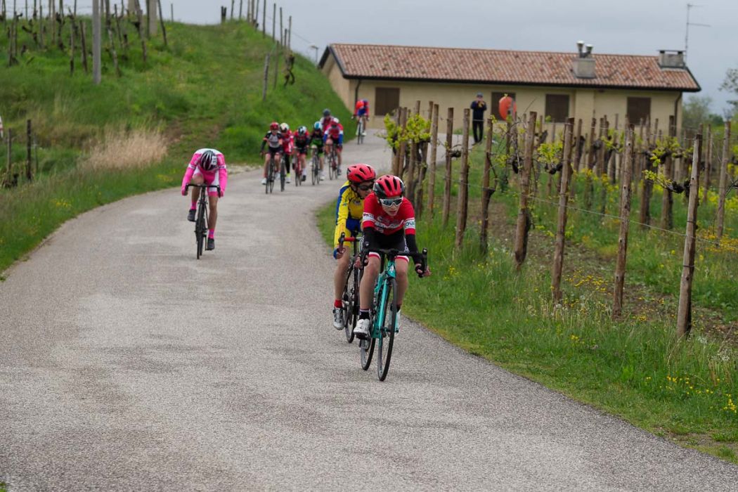 20220425 085658  4256591