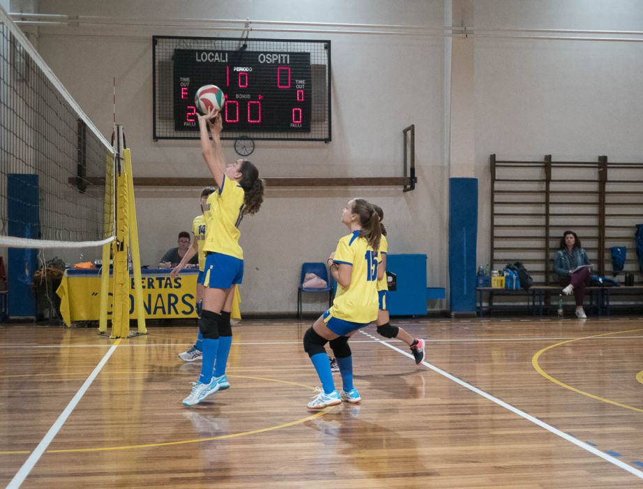 20221102 202643  B020343