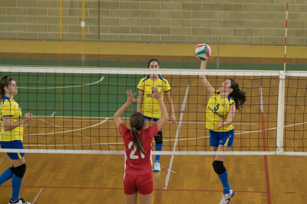 20221105 174230  B057968