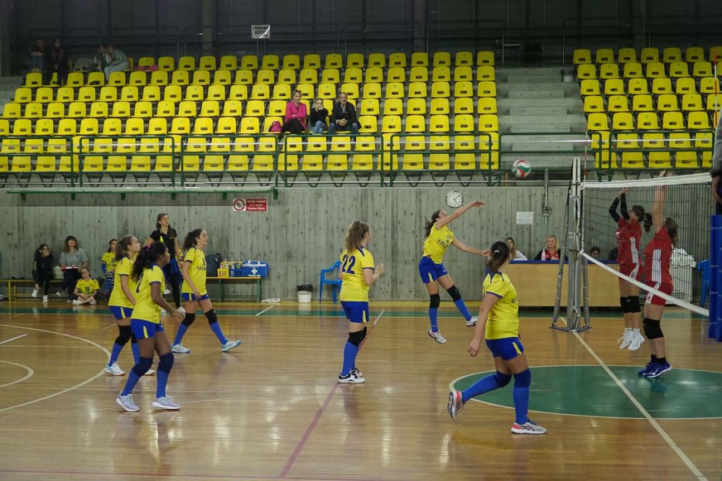 20221105 180810  B050674