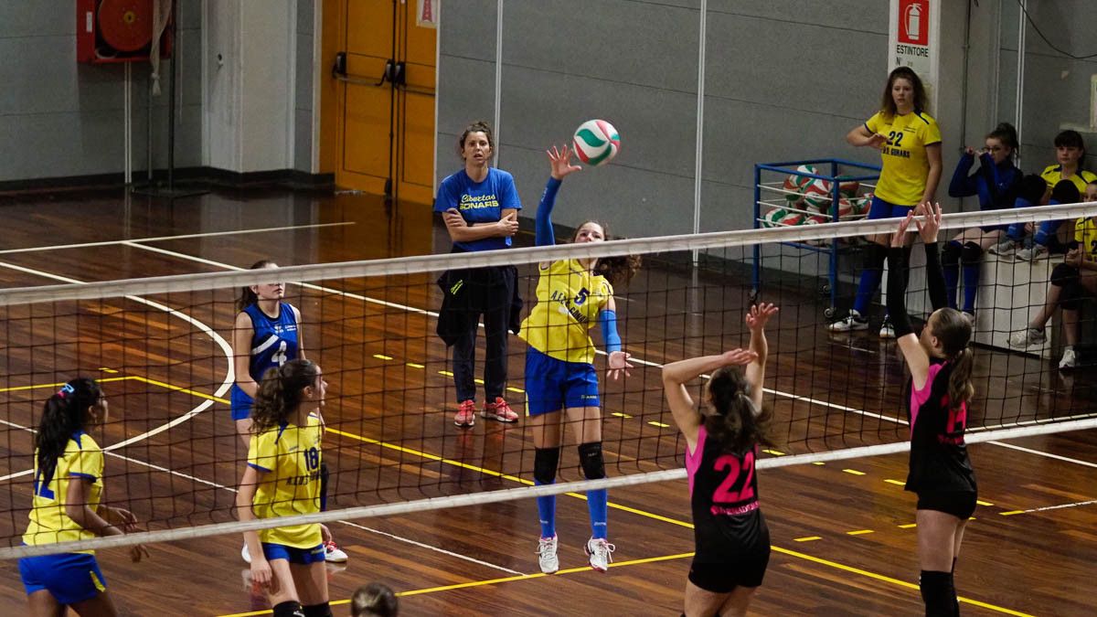 20221117 200100  B178731