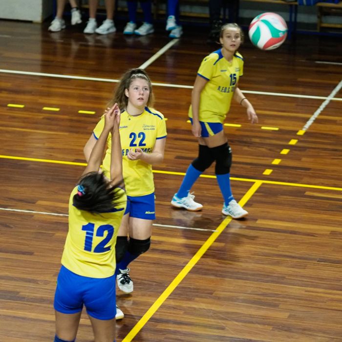 20221117 201059  B178790