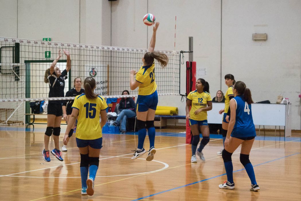 20221125 193238  B251010