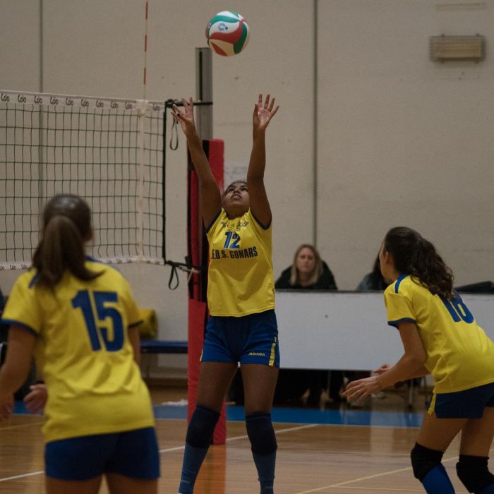 20221125 193706  B258831