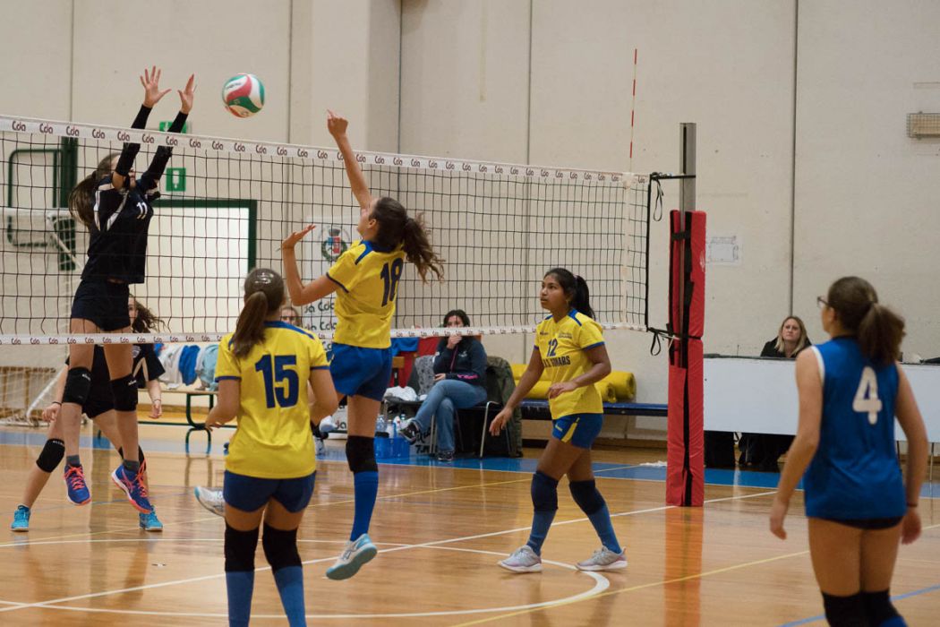 20221125 195416  B258892