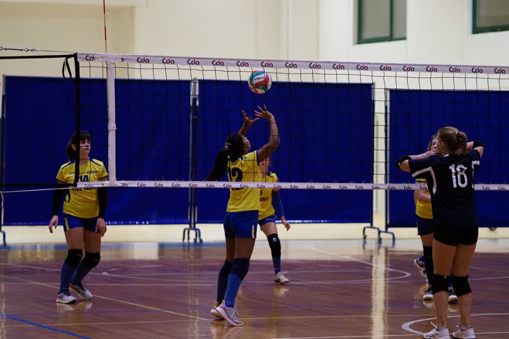 20221125 200644  B258951