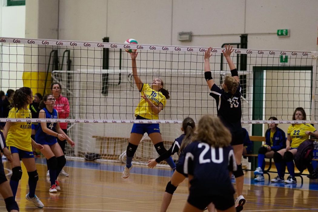 20221125 200858  B258983