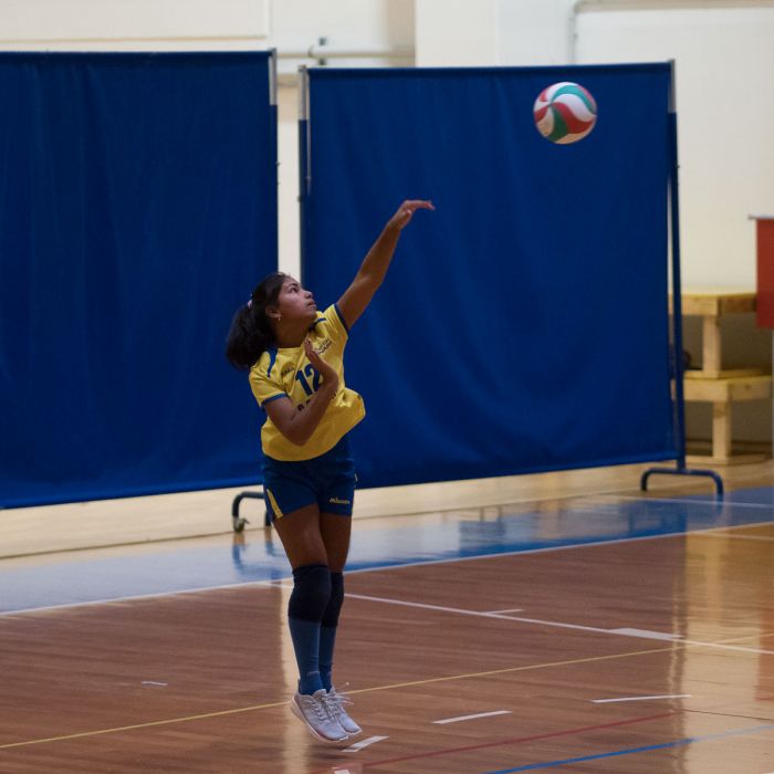 20221125 201629  B259000