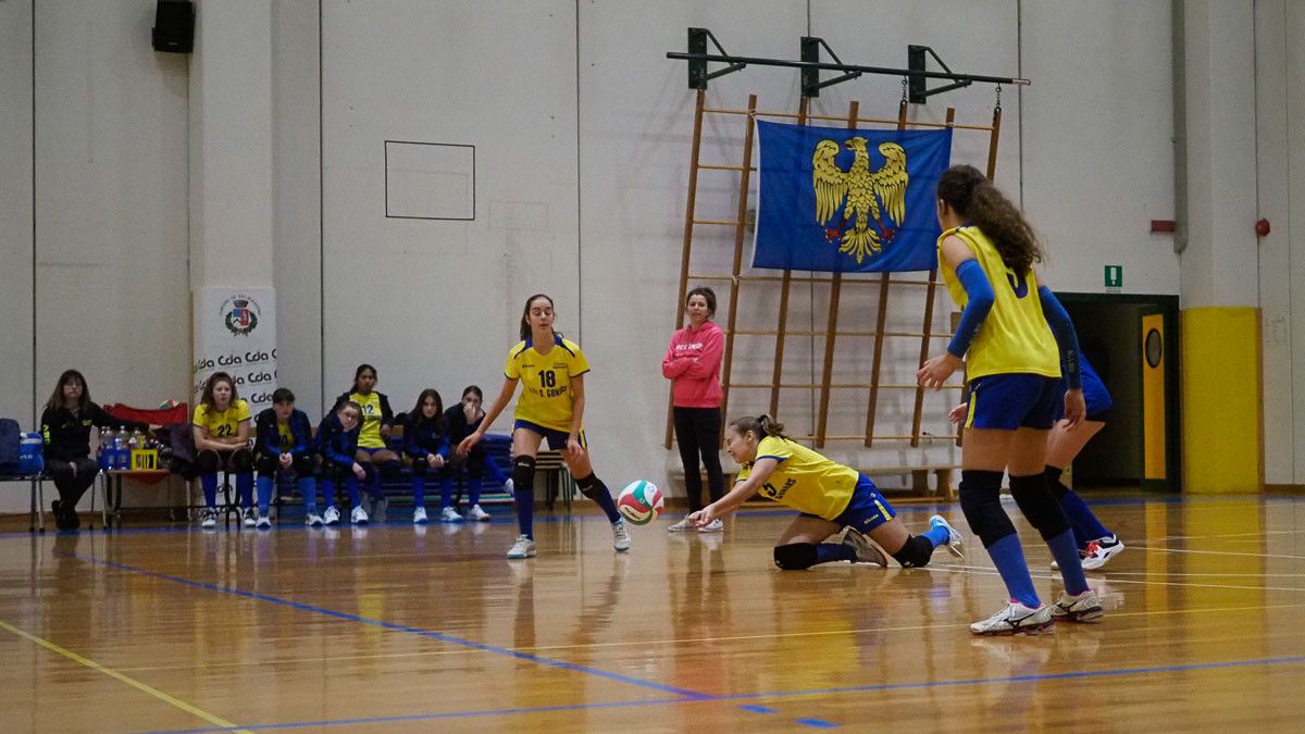 20221125 205452  B259081