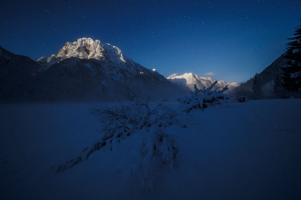 01022018  1020159 rid