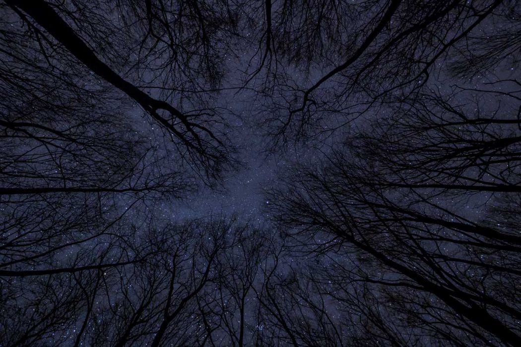 12182017  C180125 rid