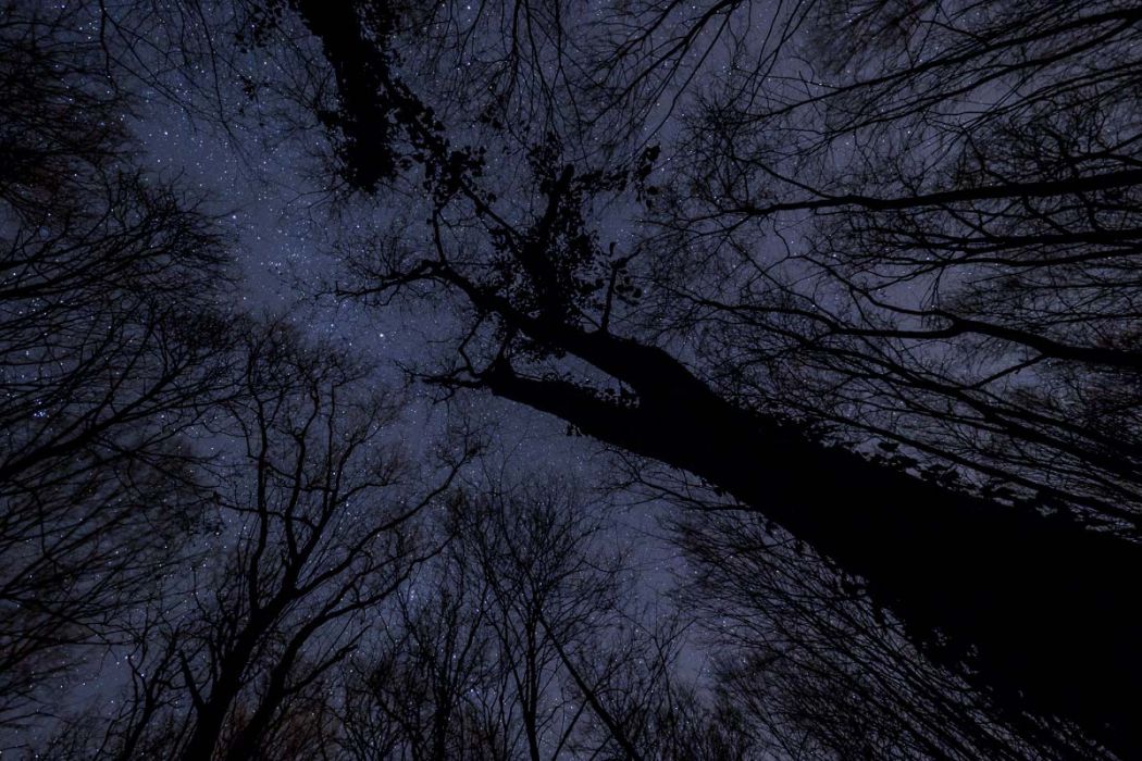 12192017  C190134 rid