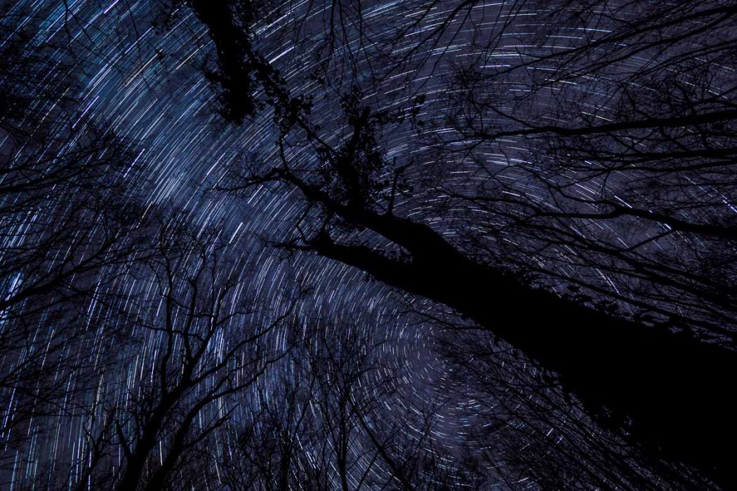 12192017  C190136 rid