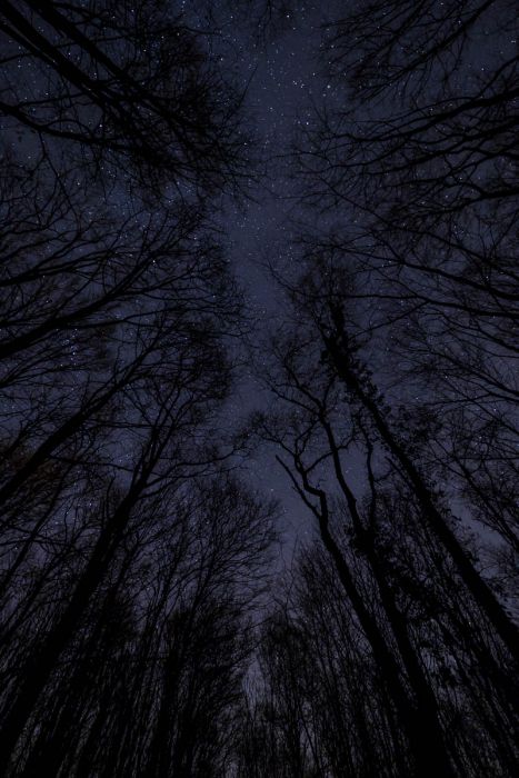 12192017  C190143 rid