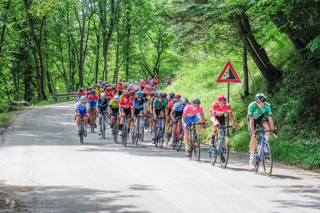 20240623 105227  6230089