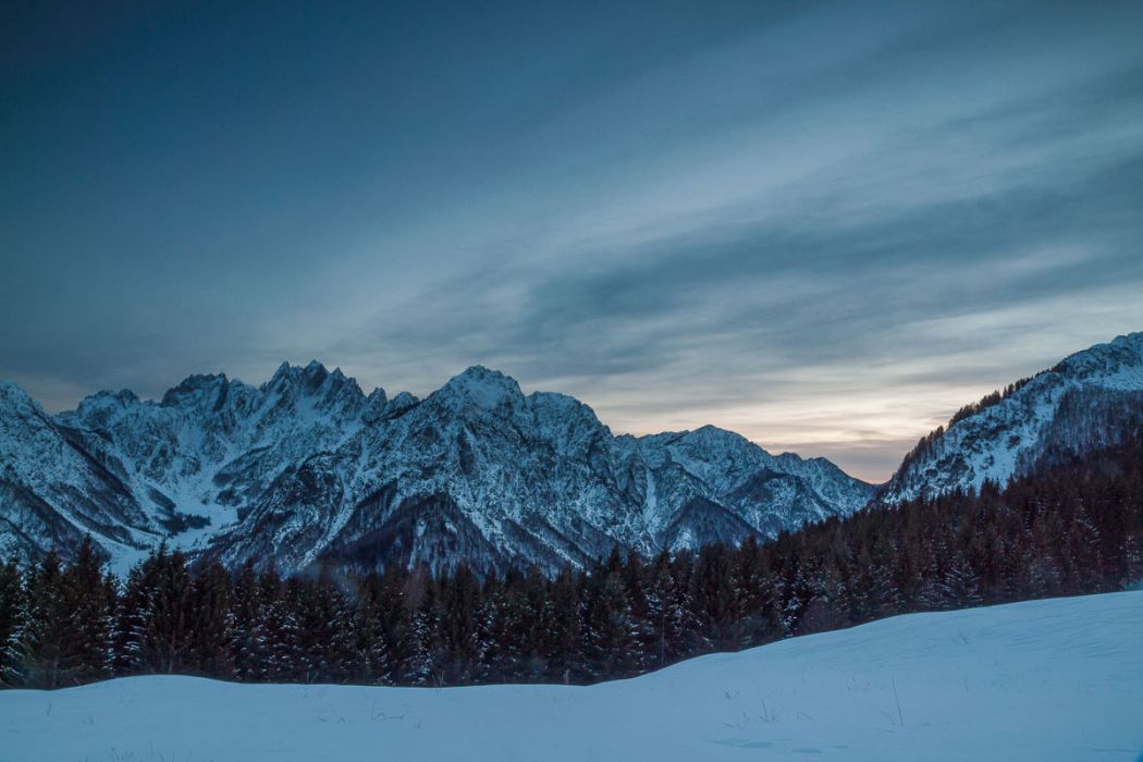 01272013 P1278381 rid