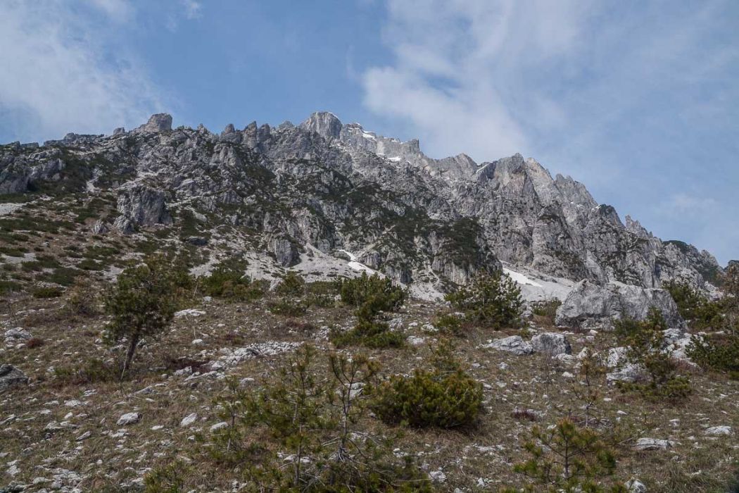 04062014 P4060520 rid