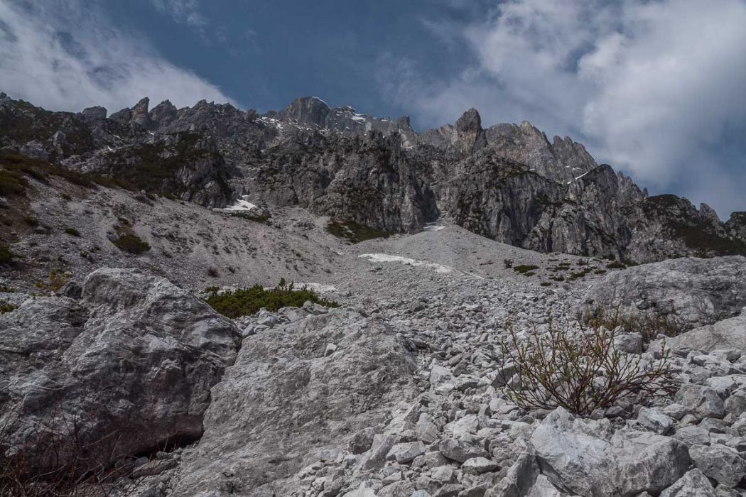 04062014 P4060529 rid