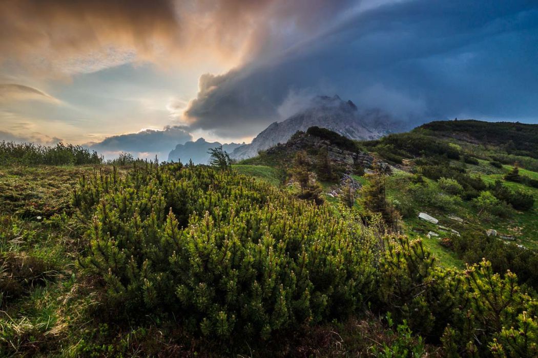 04062017  6040265 rid