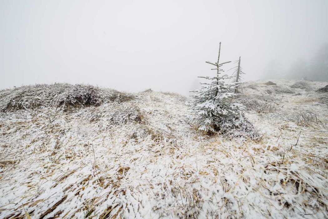 04172017  4170401 rid