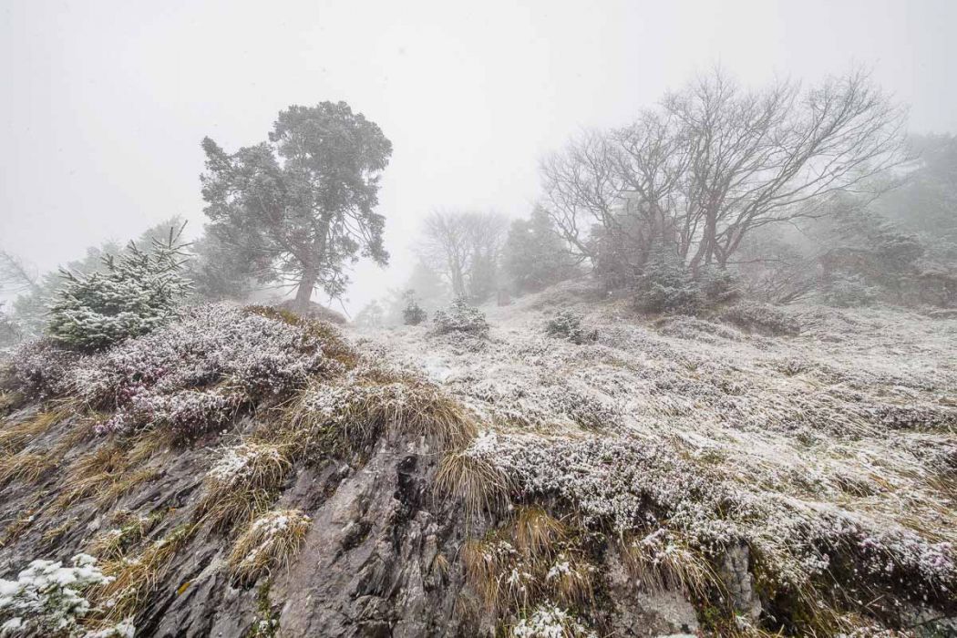 04172017  4170465 rid