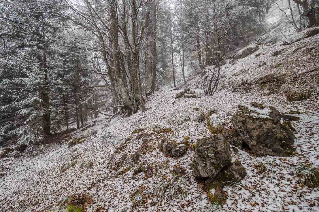 04172017  4170474 rid