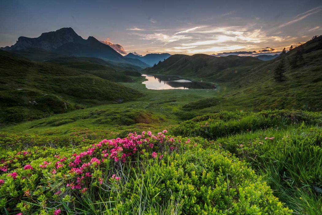 07092016  7091217 rid