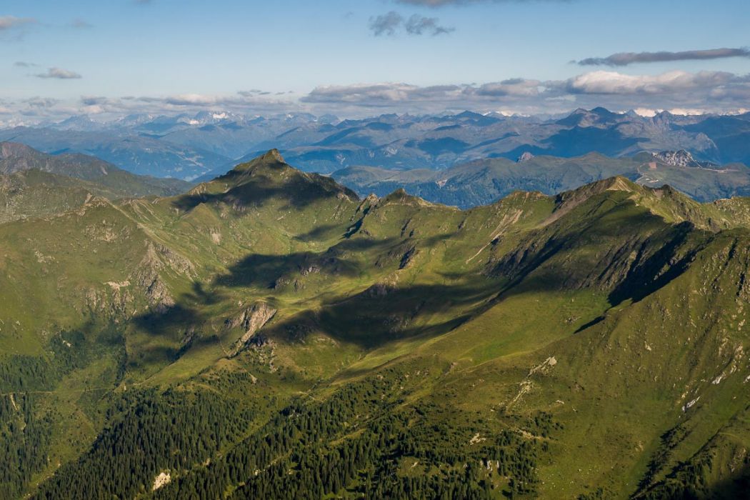 07282010 P7287592 rid