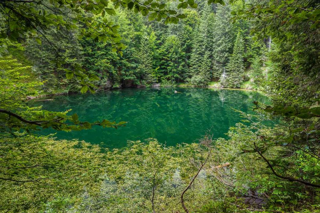 08122012 CraRazzo 082 Edit rid