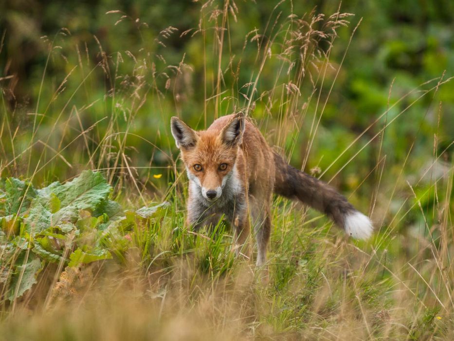 08122012 CraRazzo 194 Edit rid