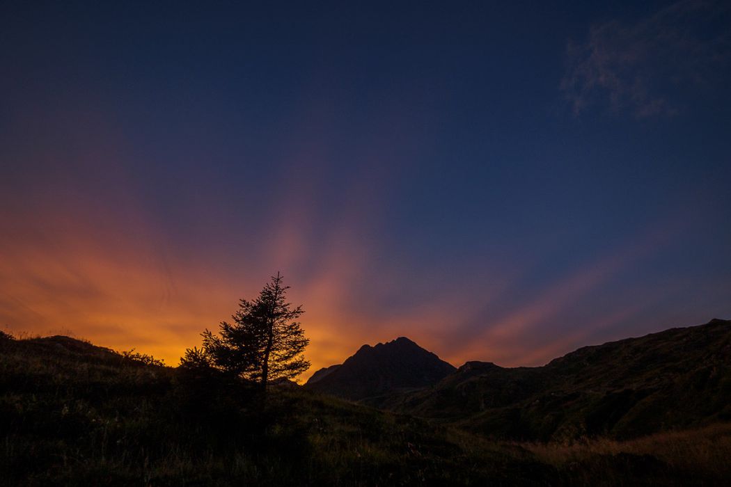 08222017  8220227 rid