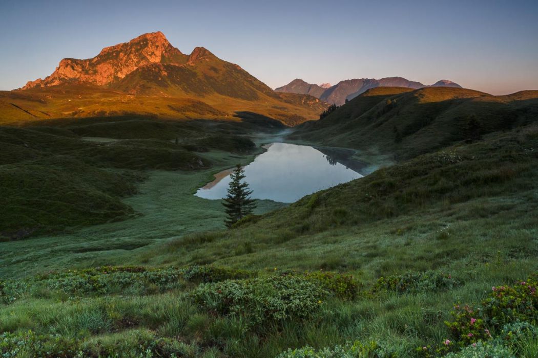 10072016  7101350 rid