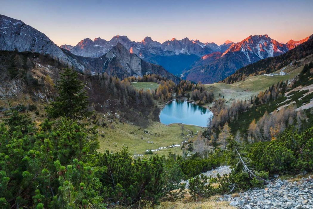 11022014  B020515 rid