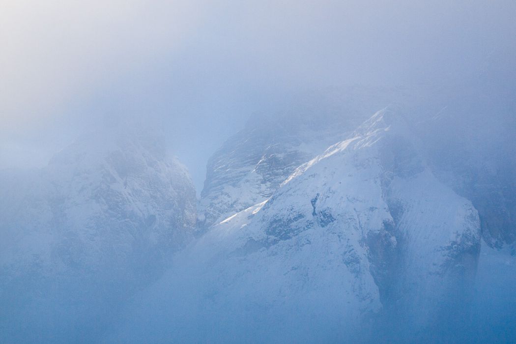 01022009 P1026229 rid