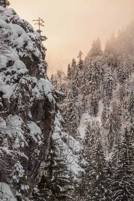 01022018  1020134 rid