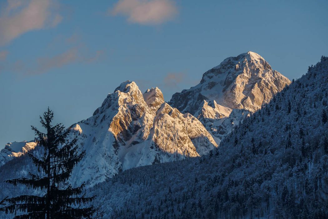 01022018  1020152 rid