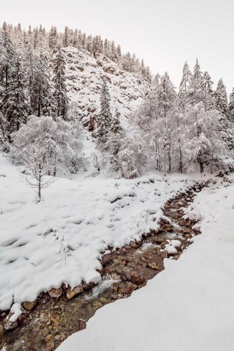 01022018  1020924 rid