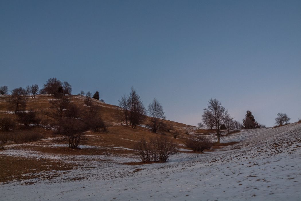 01072012 P1078630 rid  3 2 