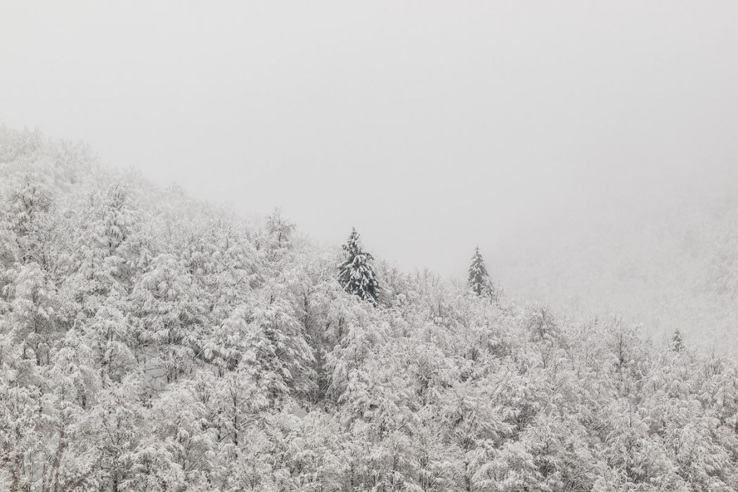 01102010 P1105179 rid  3 2 