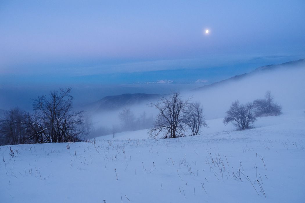 01142017  1140475 rid