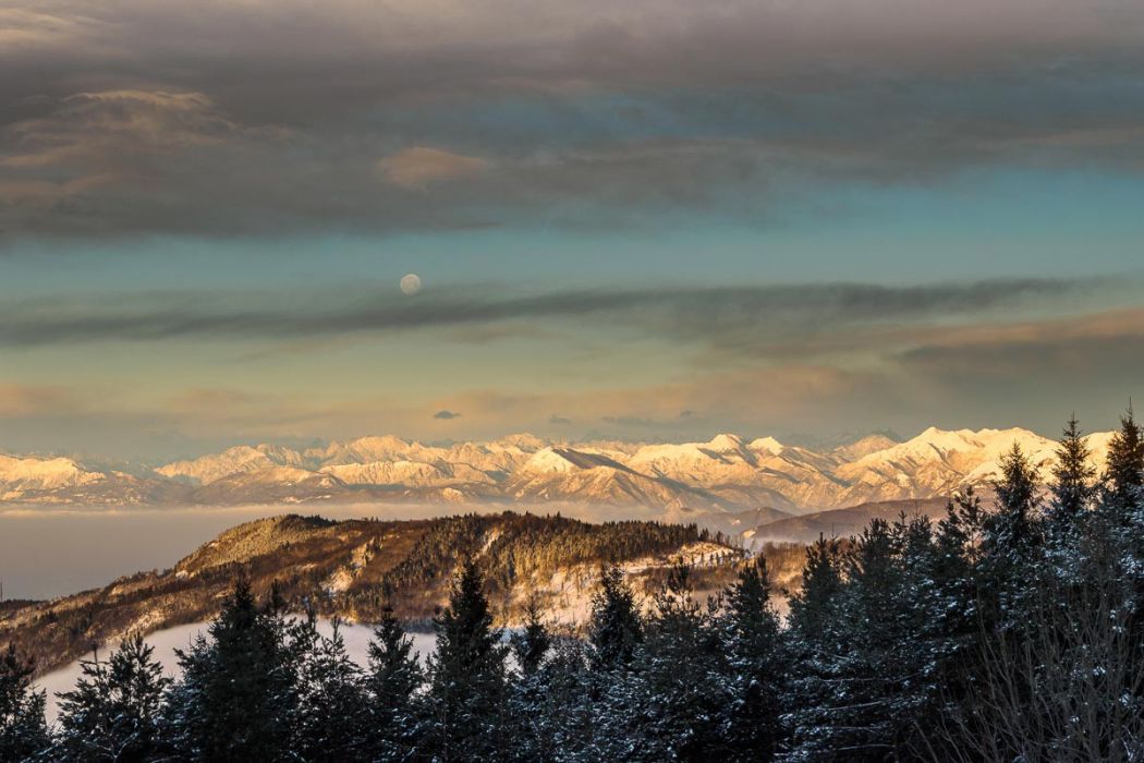 01142017  1140489 rid